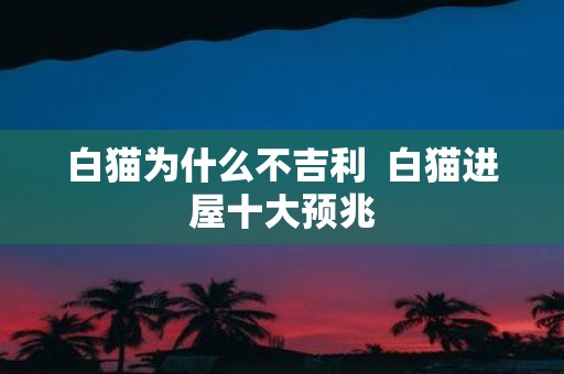 白猫为什么不吉利 白猫进屋十大预兆
