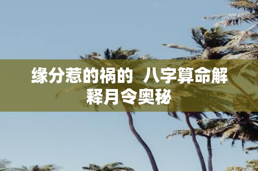 缘分惹的祸的 八字算命解释月令奥秘