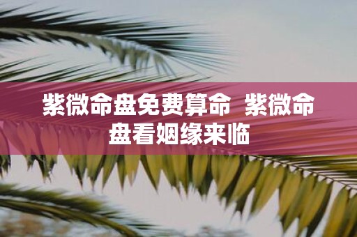 紫微命盘免费算命 紫微命盘看姻缘来临