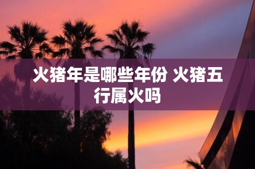 火猪年是哪些年份 火猪五行属火吗