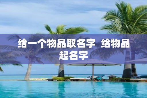 给一个物品取名字 给物品起名字
