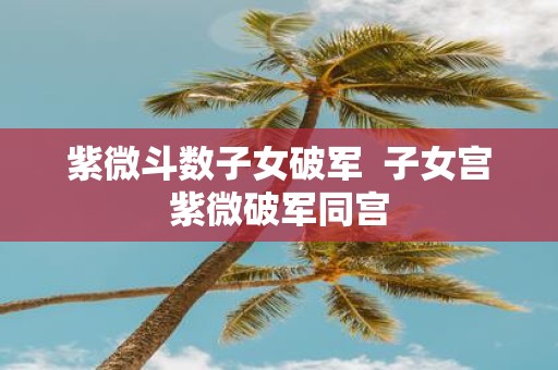 紫微斗数子女破军 子女宫紫微破军同宫
