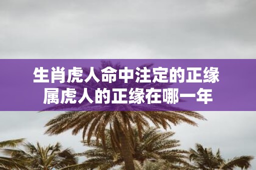 生肖虎人命中注定的正缘 属虎人的正缘在哪一年