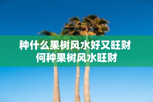 种什么果树风水好又旺财 何种果树风水旺财