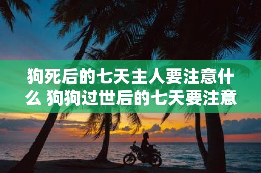 狗死后的七天主人要注意什么 狗狗过世后的七天要注意什么