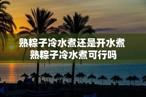 熟粽子冷水煮还是开水煮 熟粽子冷水煮可行吗