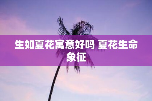 生如夏花寓意好吗 夏花生命象征