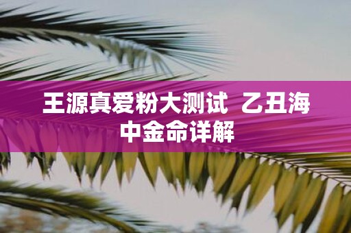 王源真爱粉大测试 乙丑海中金命详解