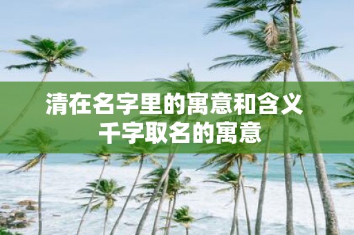 清在名字里的寓意和含义 千字取名的寓意