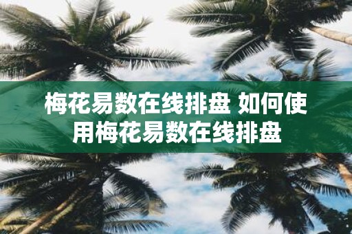 梅花易数在线排盘 如何使用梅花易数在线排盘