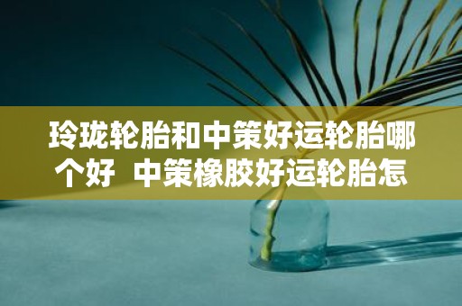 玲珑轮胎和中策好运轮胎哪个好 中策橡胶好运轮胎怎么样