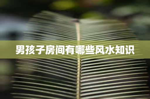男孩子房间有哪些风水知识
