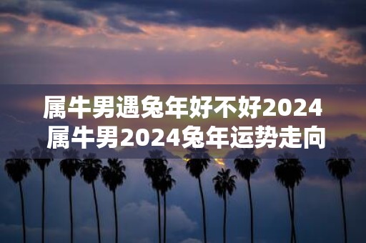 属牛男遇蛇年好不好2025 属牛男2025蛇年运势走向如何