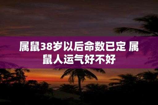 属鼠38岁以后命数已定 属鼠人运气好不好