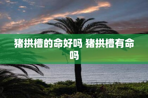 猪拱槽的命好吗 猪拱槽有命吗