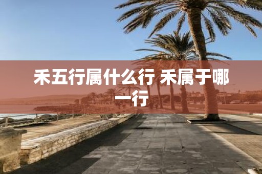 禾五行属什么行 禾属于哪一行