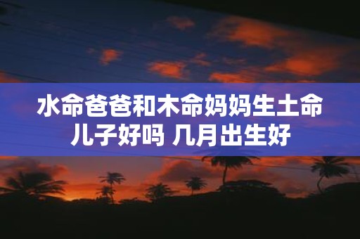 水命爸爸和木命妈妈生土命儿子好吗 几月出生好