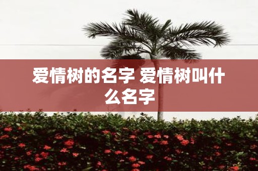 爱情树的名字 爱情树叫什么名字