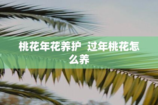 桃花年花养护 过年桃花怎么养