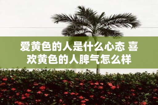 爱黄色的人是什么心态 喜欢黄色的人脾气怎么样