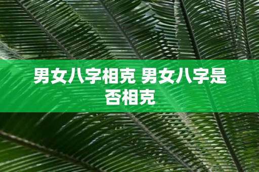 男女八字相克 男女八字是否相克