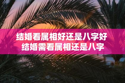 结婚看属相好还是八字好 结婚需看属相还是八字
