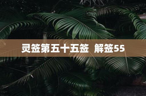 灵签第五十五签 解签55