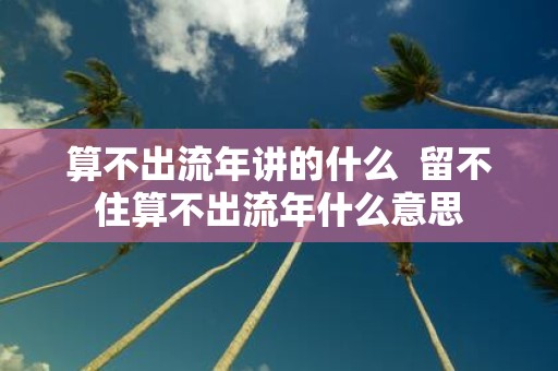 算不出流年讲的什么 留不住算不出流年什么意思