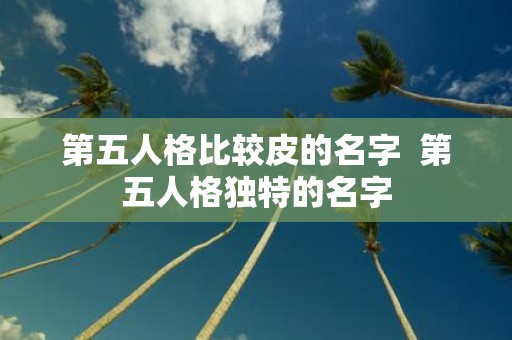 第五人格比较皮的名字 第五人格独特的名字