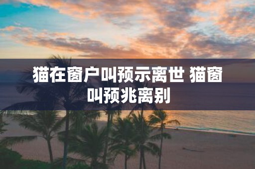 猫在窗户叫预示离世 猫窗叫预兆离别