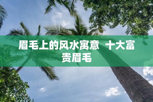 眉毛上的风水寓意 十大富贵眉毛