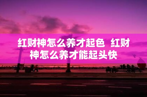 红财神怎么养才起色 红财神怎么养才能起头快