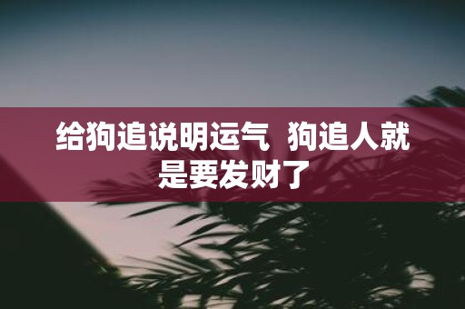 给狗追说明运气 狗追人就是要发财了