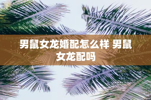 男鼠女龙婚配怎么样 男鼠女龙配吗
