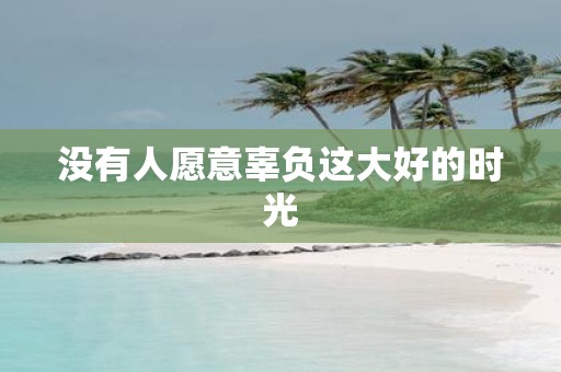 没有人愿意辜负这大好的时光