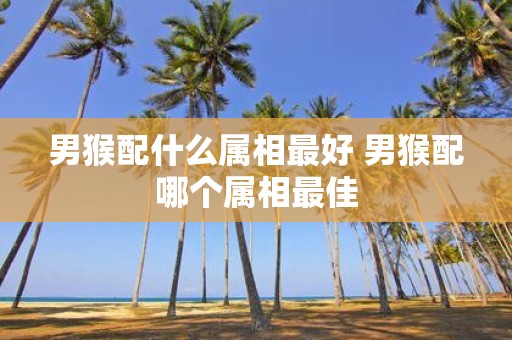 男猴配什么属相最好 男猴配哪个属相最佳