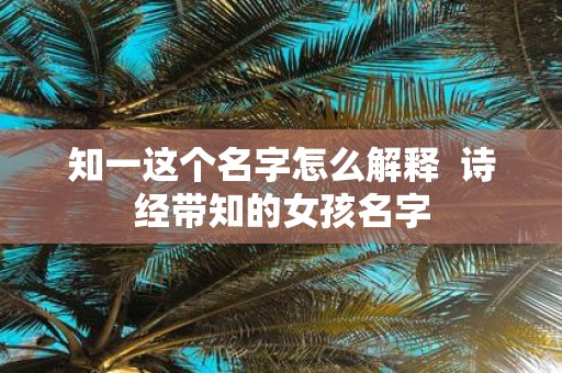 知一这个名字怎么解释 诗经带知的女孩名字