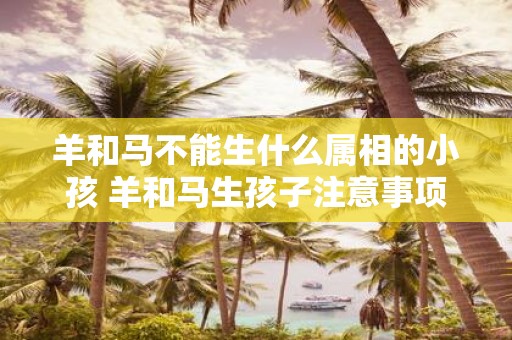 羊和马不能生什么属相的小孩 羊和马生孩子注意事项