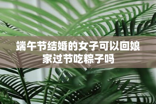 端午节结婚的女子可以回娘家过节吃粽子吗