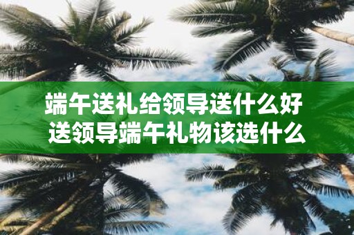 端午送礼给领导送什么好 送领导端午礼物该选什么