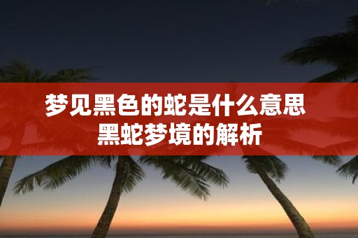 梦见黑色的蛇是什么意思 黑蛇梦境的解析