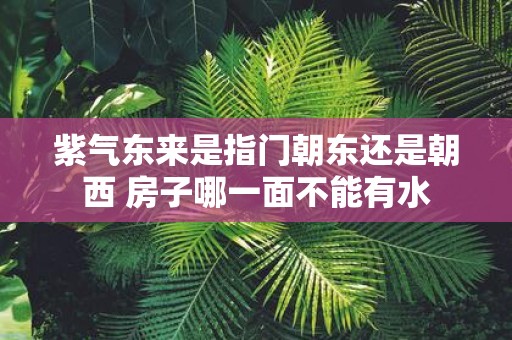紫气东来是指门朝东还是朝西 房子哪一面不能有水