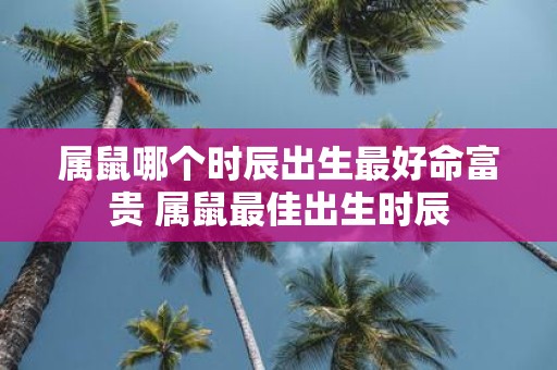 属鼠哪个时辰出生最好命富贵 属鼠最佳出生时辰