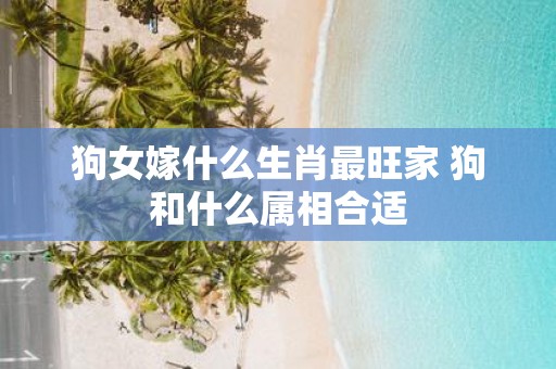 狗女嫁什么生肖最旺家 狗和什么属相合适