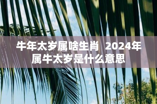 牛年太岁属啥生肖 2025年属牛太岁是什么意思