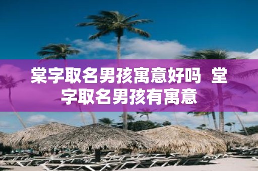 棠字取名男孩寓意好吗 堂字取名男孩有寓意