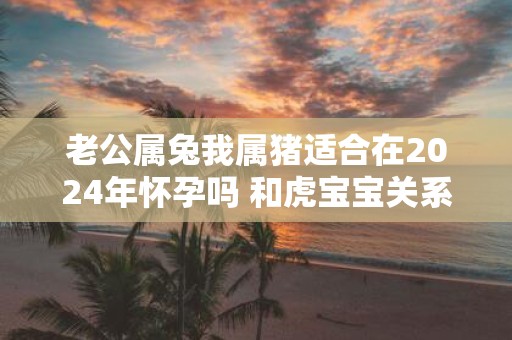 老公属兔我属猪适合在2025年怀孕吗 和虎宝宝关系如何
