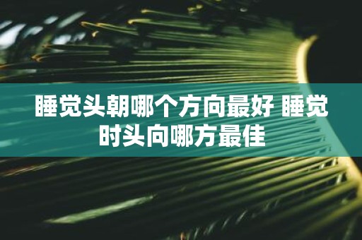 睡觉头朝哪个方向最好 睡觉时头向哪方最佳
