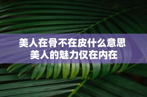 美人在骨不在皮什么意思 美人的魅力仅在内在