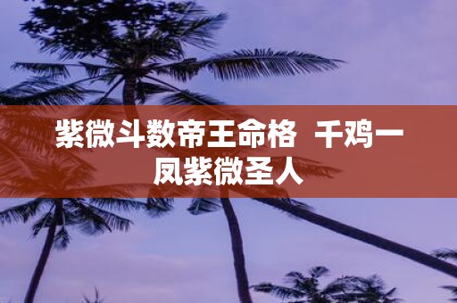 紫微斗数帝王命格 千鸡一凤紫微圣人